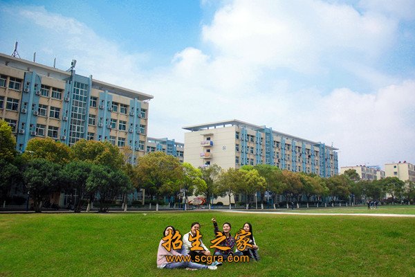 其中副高以上职称教师174人
