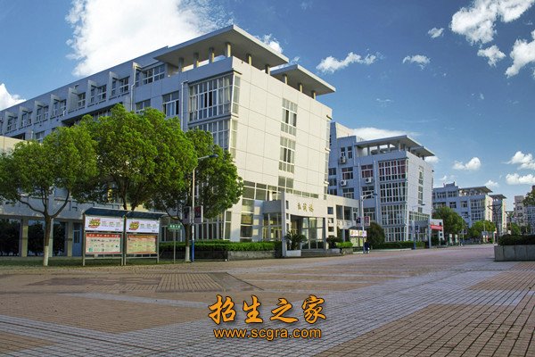 并涌现出了全国