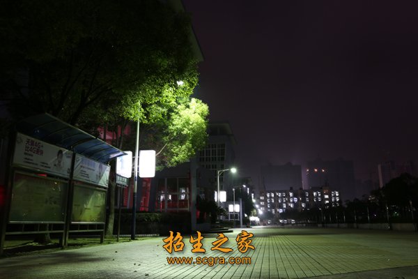 占地面积301亩