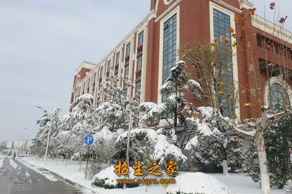 同类内容在半个世纪的办学历程中
