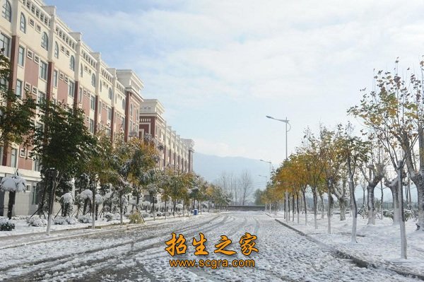 2004年）等发展阶段