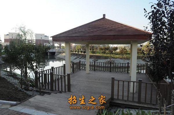 90年来