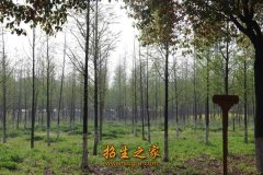 与南京大学