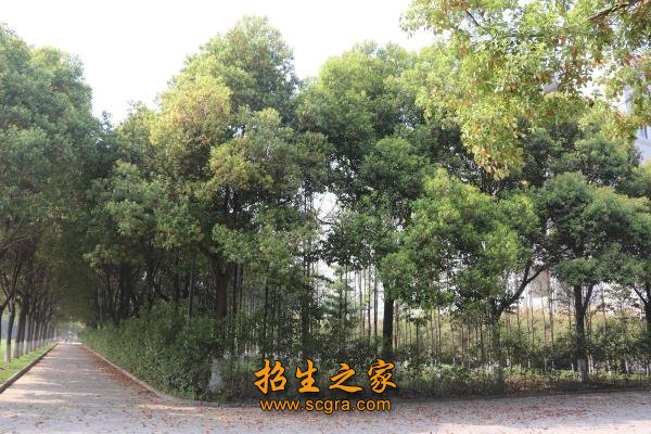 澳门永利平台手机版登录资源丰富