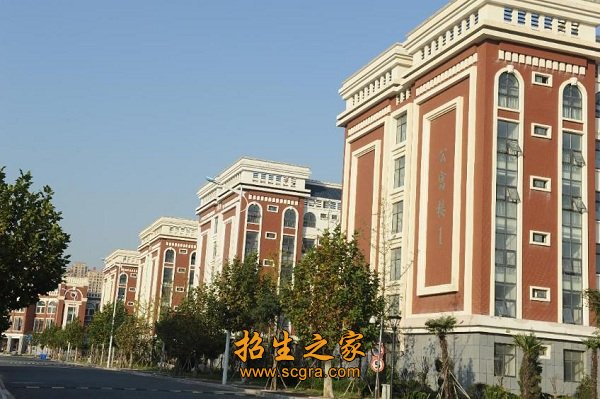 校园环境优美