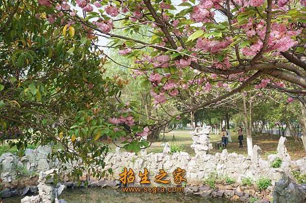 龙山之间