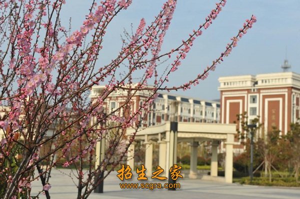 掩映于苍翠满目