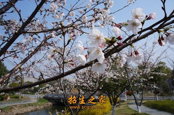 澳门永利平台官网使用教程现有17个专