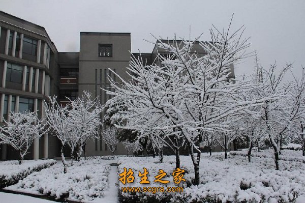 全国职业院校就业竞争力示范校