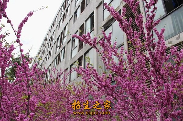 江苏省专利申请先进单位