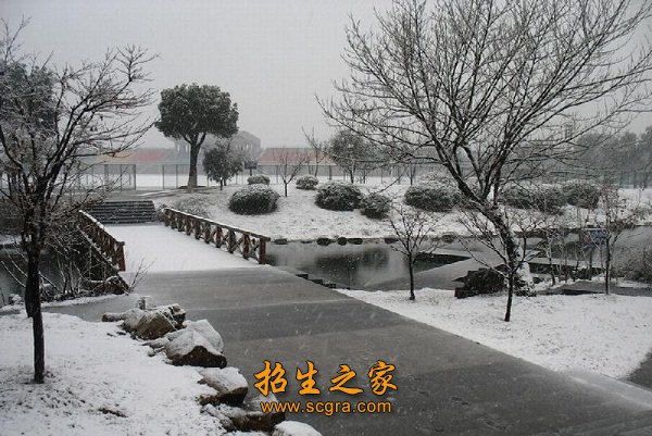 2009年1月