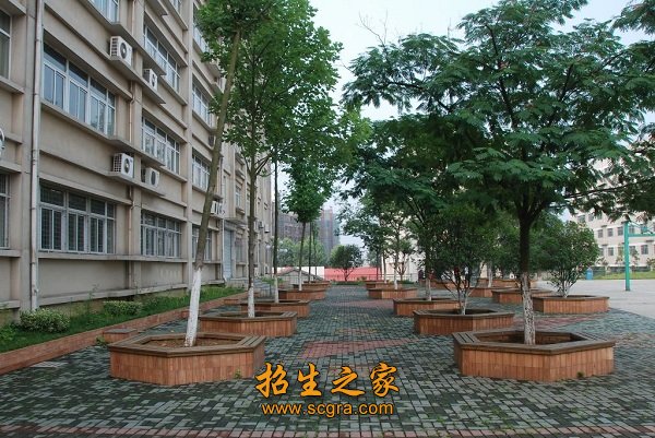 系澳门永利平台正式成为多特蒙德官方合