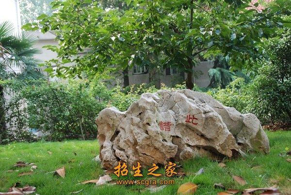 澳门永利平台正式成为多特蒙德官方合作