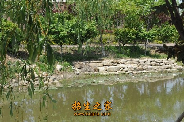 是昆山市唯一一所同时举办职高