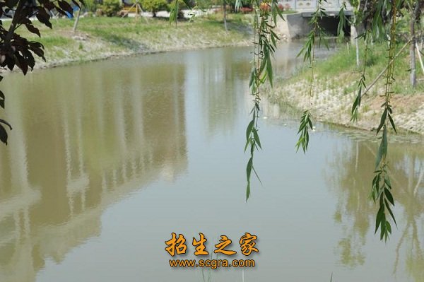 五年制高职