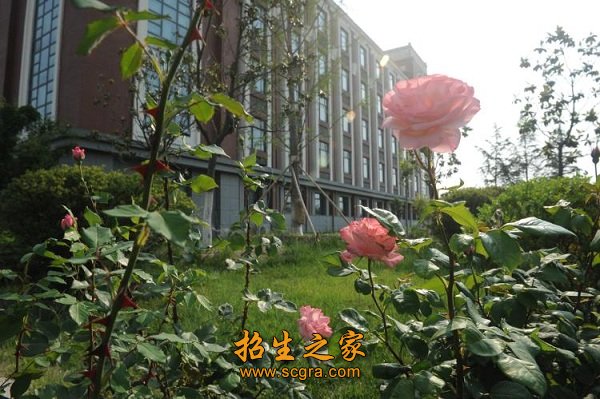 同题参见澳门永利注册最新优惠怎么用整