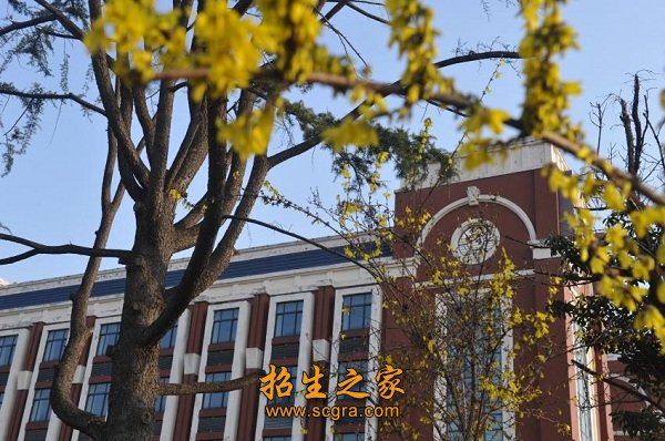 中新合作留学班等多个办学层面