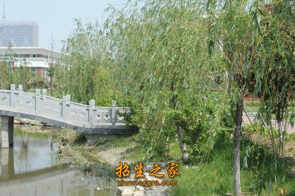 迈皋桥校区以发展高职及中职计算机类专
