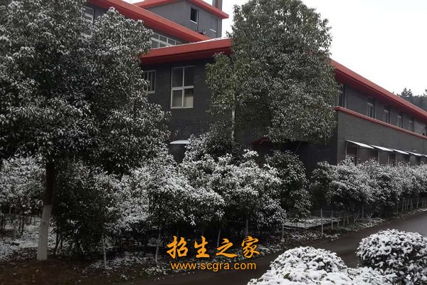 环境优美
