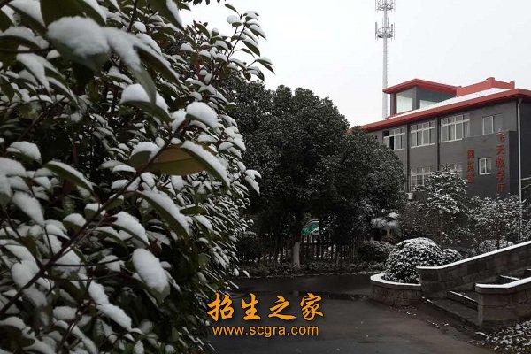 文理澳门永利注册出任切尔西官方合作伙