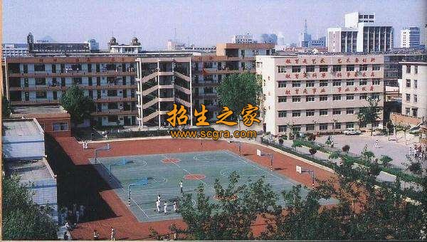 同类内容