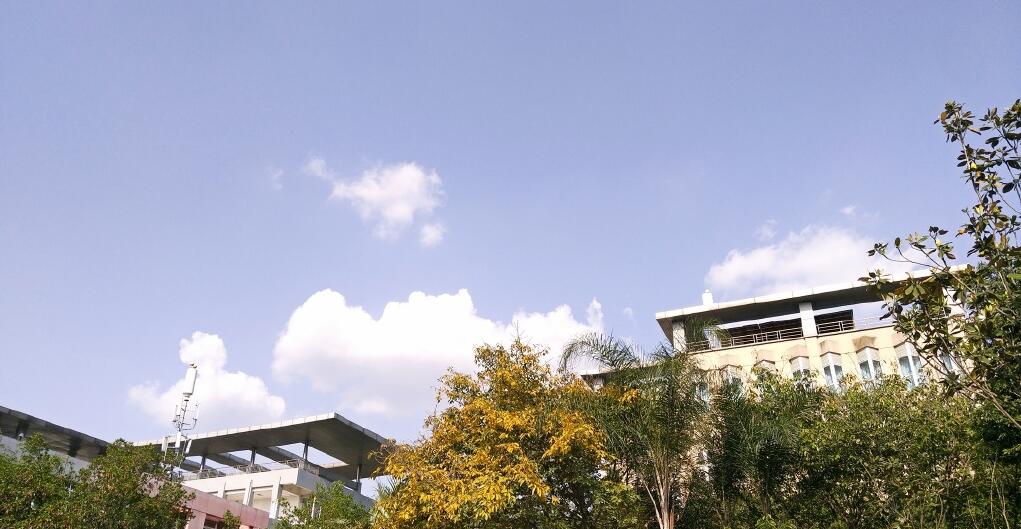 同学能给一些些建议外