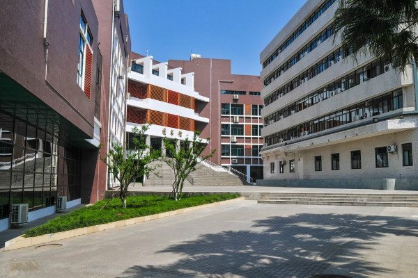 学历层次