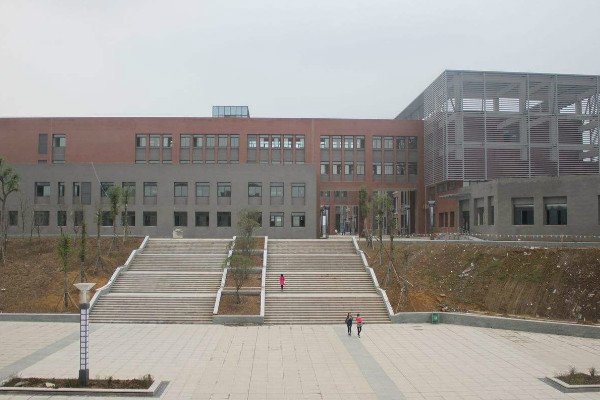 学历层次