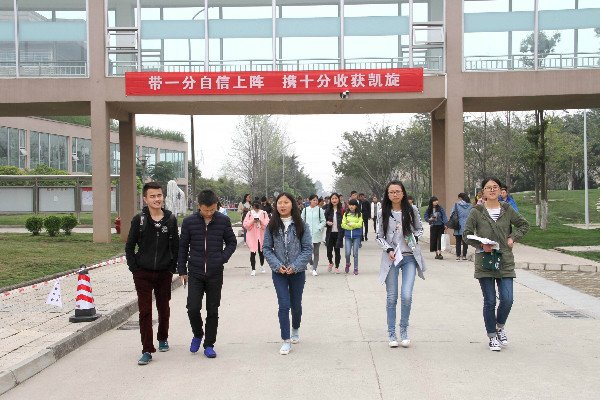 学历层次