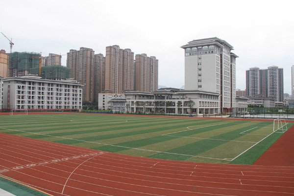 学历层次