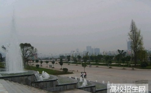 录取条件