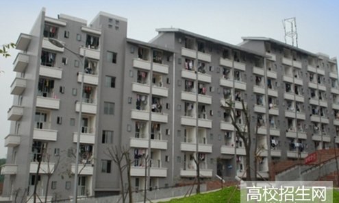 录取条件