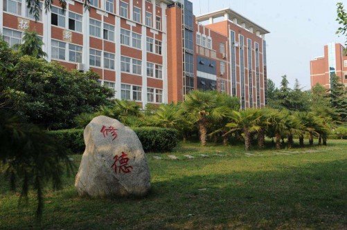 五年制大专的就业率一直保持很高的水平