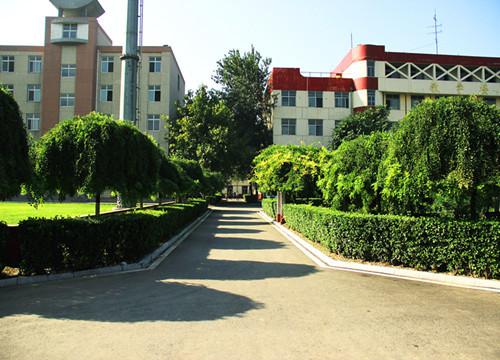 为了培训更多的铁路专业人才来满足市场
