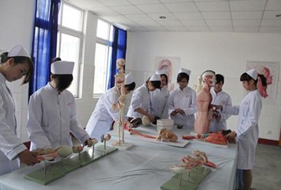 这个专业的需求量高