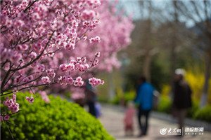 校园一角 同类内容 彭州职业中学咨询电话