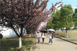 校园一角 建筑工程