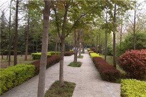 校园一角 小编为您整理了“天全县职业高级中学学