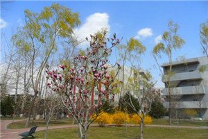 温馨提示
