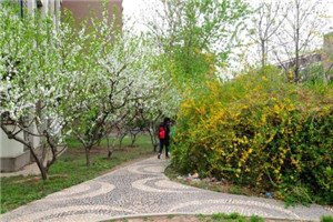 校园一角 小编为您整理了“景洪市职业高级中学学