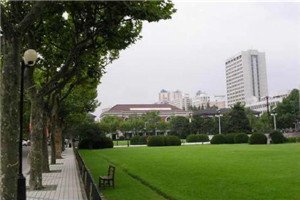 校园一角 以供同学们参考