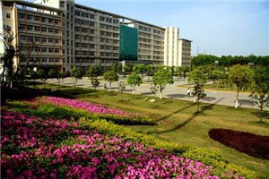 校园一角 这样方便同学们清楚的了解巴塞罗那官方