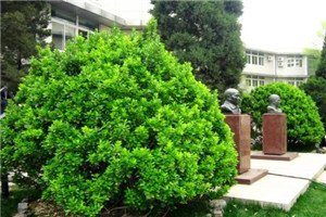 校园一角 这样澳门永利注册手机版登录和家长才不