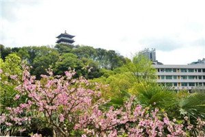 校园一角 澳门永利平台官网首页可以作为参考