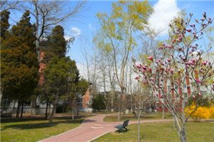 校园一角 相信很多同学家长都开始找澳门永利平台