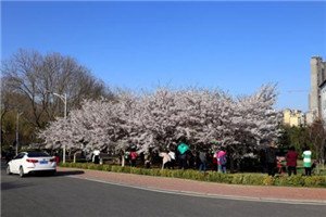 校园一角 报读什么专业