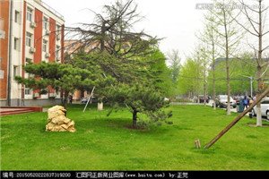 校园一角 大部分的家长都忙着给孩子找澳门永利平