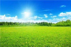 校园一角 相关阅读 绵阳博远艺术职业澳门永利平