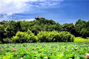 校园一角 小编专门为考生们整理了以下资料