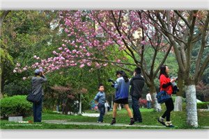 校园一角 同类内容以往数据表明中职澳门永利注册